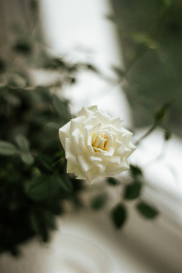 心疼关心一个人的句子文案 心疼一个人的暖心话有哪些?