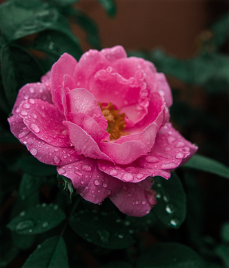 想念天堂父母的短句 形容很想念天堂的爸爸的好句子文案有哪些?