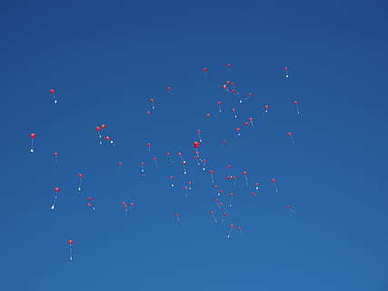 蛋糕早安暖心话短句 最能暖人心的早安的句子文案是什么？