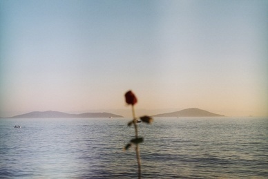 亲情感人的句子文案 珍惜亲情最感人的句子文案