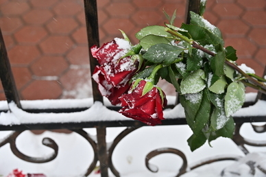 女孩子加油努力的句子文案 鼓励女孩子加油的话