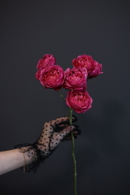 形容女人气质优雅句子文案 形容女子气质优雅美丽的句子文案有哪些？