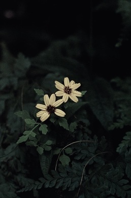 调侃结婚的幽默句子文案 调侃结婚的幽默句子文案