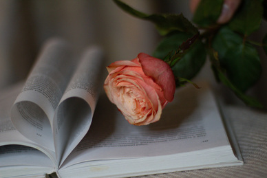 和老公冷战的伤感句子文案 形容夫妻感情伤感的句子文案