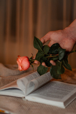 抖音温柔的文案长的 抖音的文案太长旁边总会有展开,怎么办