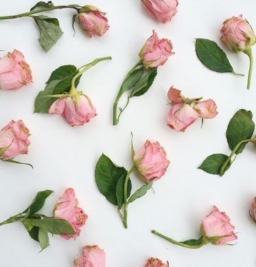 警告闺蜜男朋友好好对闺蜜的话 警告闺蜜男友好好对闺蜜的话