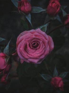 深夜情话文案一段 深夜撩心的感人情话文案都有哪些？