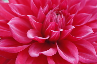 给老婆温馨的午安问候 给老婆温馨暖心句子文案