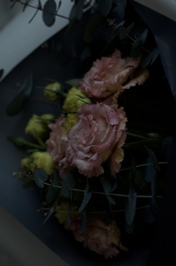 适合女生的冷淡风短句 冷淡风短句