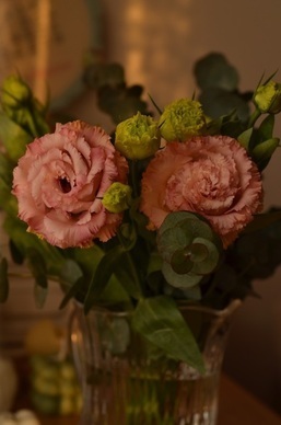 超级温柔的长句文案 有哪些超级温柔的文案？