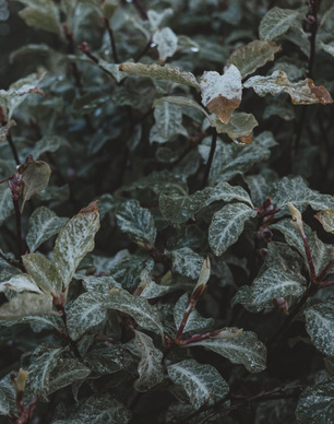 心疼自己的短句子文案 自己心疼自己的经典句子文案怎么写？