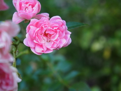 爱情语录文案短视频 爱情语录文案短句 幸福