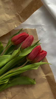 失恋的高级句子文案 失恋的句子文案