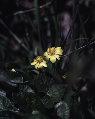 分手不再理她的句子文案 分手了虽然冷淡她但是想她的句子文案