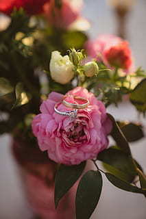 夸奖女人的幽默的句子文案 夸奖女人的幽默的句子文案