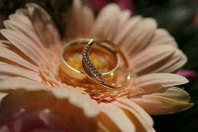 夫妻浪漫语录文案短句情话 给老婆的浪漫情话。谢谢！