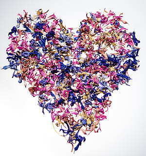 守护爱人一辈子的一句话 怎么守护爱人一辈子?