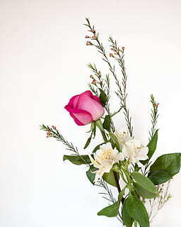 幸福满满的诗句 祝福一家人幸福满满的句子文案