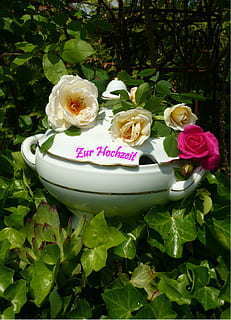 配感情语录文案的短视频 快手上好看的情感语录文案视频什么软件