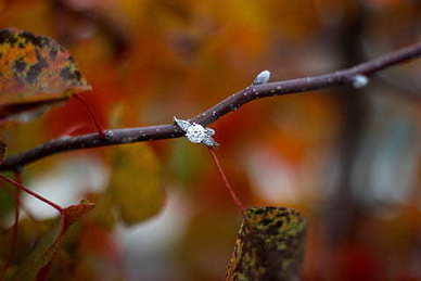 朋友圈暗示想念 特别想一个人的时候,如何发朋友圈暗示他?