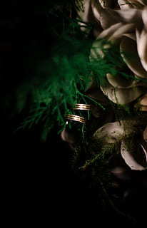 校园爱情的句子文案唯美短句 校园青春爱情唯美句子文案