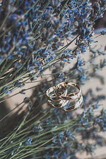 为了什么结婚经典语录文案