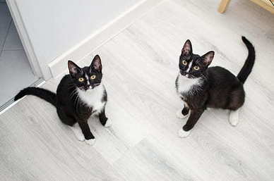 给对象说的污污的小情话文案 怎样跟男朋友说污情话文案