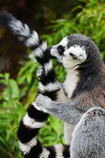 女人一定要活得漂亮的句子文案 励志女人要活得漂亮的句子文案