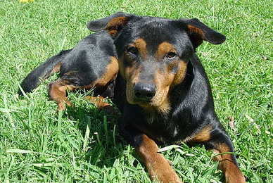 收到礼物说说文案暖心 收到礼物心情好的说说文案