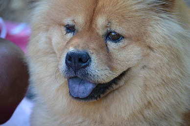 中年男人的不易的诗词 形容男人不容易的诗句文案