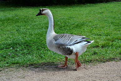 思念的短句 十五思念的句子文案