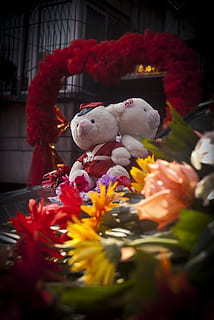 形容晚上开车奔波在路上的句子文案 夜晚开车发朋友圈的句子文案