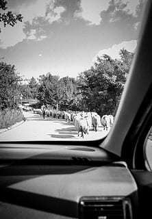 形容女人见识少的句子文案 形容见识少的成语