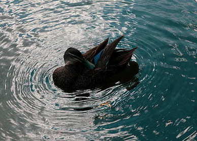 女生早安心语短句 早安心语优美的句子文案集锦