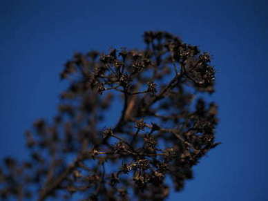 文言文情话文案 文言文的情话文案有哪些？