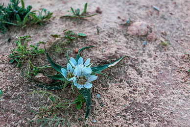 夸男人风流的句子文案 形容风流男人的词语