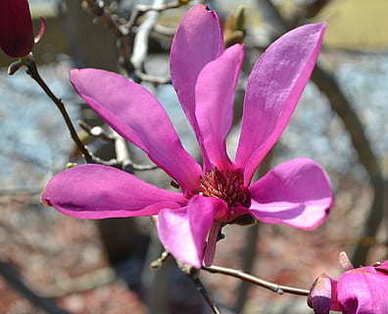 情话文案两句对称 比较对称的情话文案有哪些