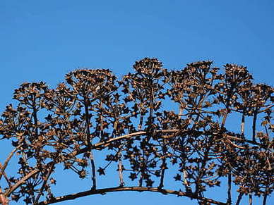 爱情归于平淡的句子文案 生活终究要归于平淡句子文案