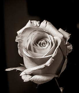 六字情侣唯美短句一对 情侣6字短句情话文案