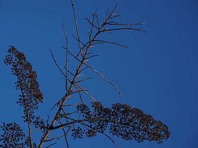 三十岁女人内涵的签名 三十岁的女人的个性签名