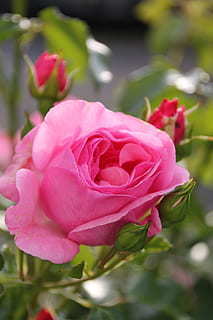 虐心到让人流泪的句子文案 让人流泪的句子文案