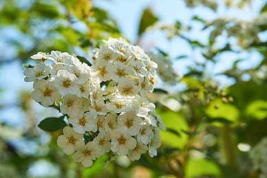 写给自己喜欢的人的一段话 写给自己心仪的人一段话该怎么写