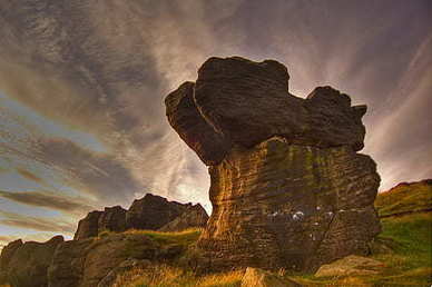 夸女人很有文采的句子文案 夸女人很有文采的句子文案有哪些?