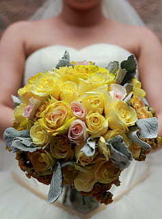 宝藏女孩专属短句 宝藏女孩的标准