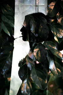 跟男朋友和好的说说 和男朋友和好的句子文案