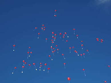 表扬男人下厨的句子文案 夸男生很会做菜的话