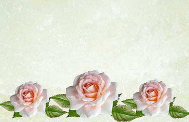 让情人感动流泪的挽回的说说 让情人回心转意的句子文案