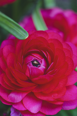 8字情话文案最暖心短句 八个字情话文案最暖心短句99