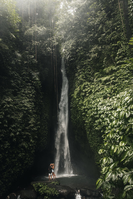 赞美小狗可爱经典句子文案 描写狗狗可爱的句子文案