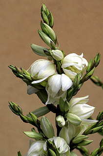 情感经典句子文案 描述情感的经典句子文案